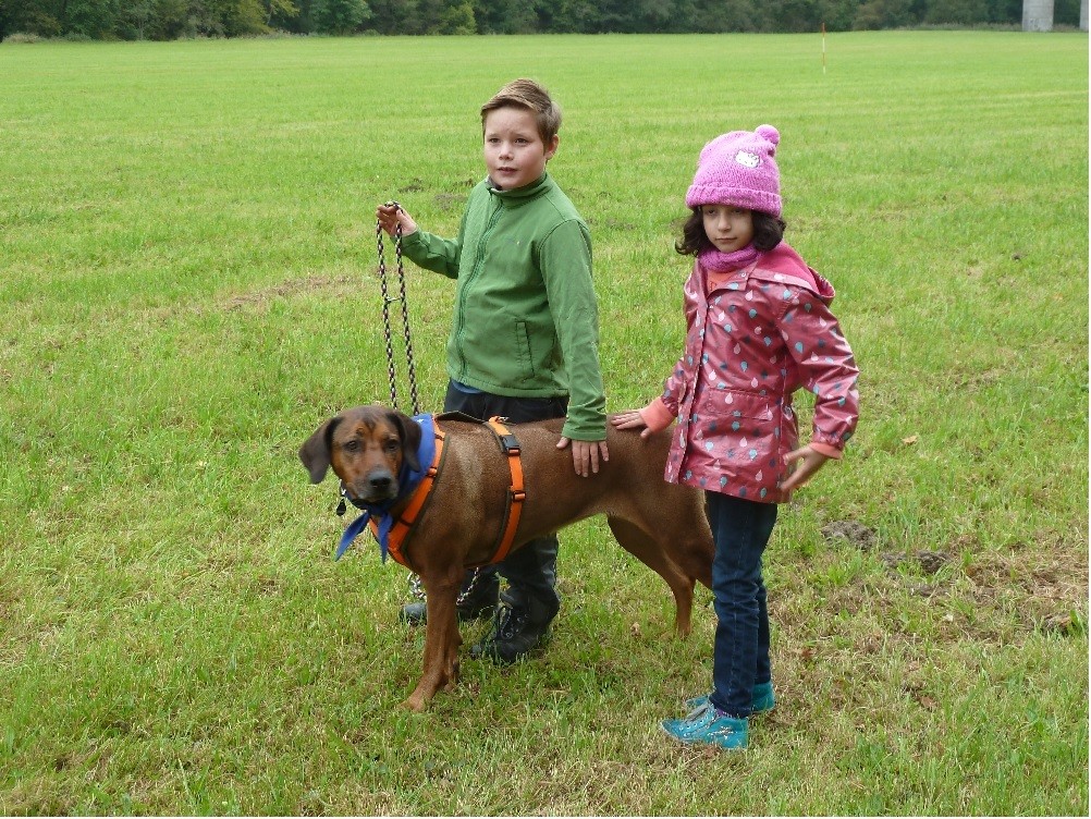 Unser Schulhund Tami mit 2 Schülern